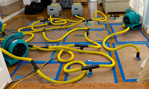 Professional Water Damage Repair technician working in Hanover, CT